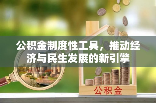 龙湖公积金制度性工具，推动经济与民生发展的新引擎