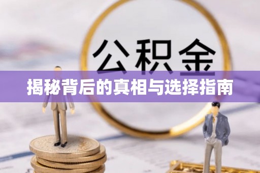 龙湖揭秘背后的真相与选择指南