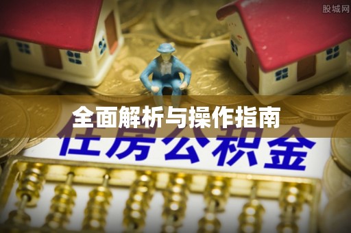 龙湖全面解析与操作指南