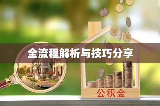 龙湖全流程解析与技巧分享